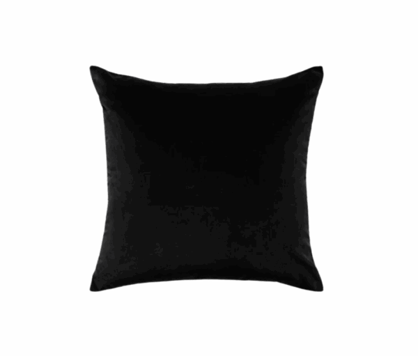 Black Velvet Cushion